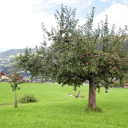 Apartment Beautiful In Zillertal *