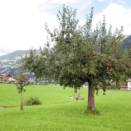 アパート Beautiful In Zillertal